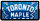 Toronto Maple Leafs 1718631532